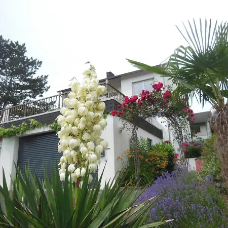 Julia's Mosel Julia *