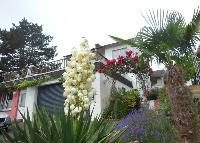 Julia's Mosel Julia *